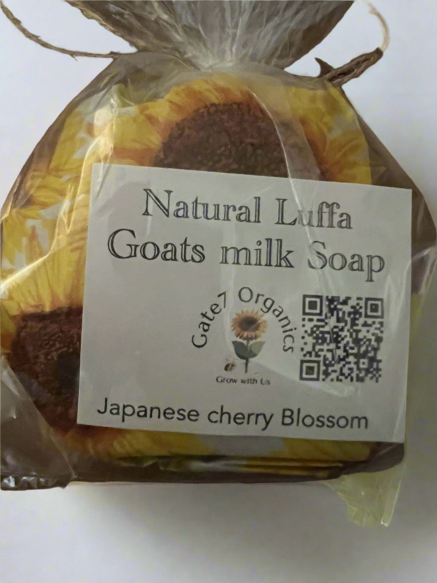 Luffa Goats Milk soap