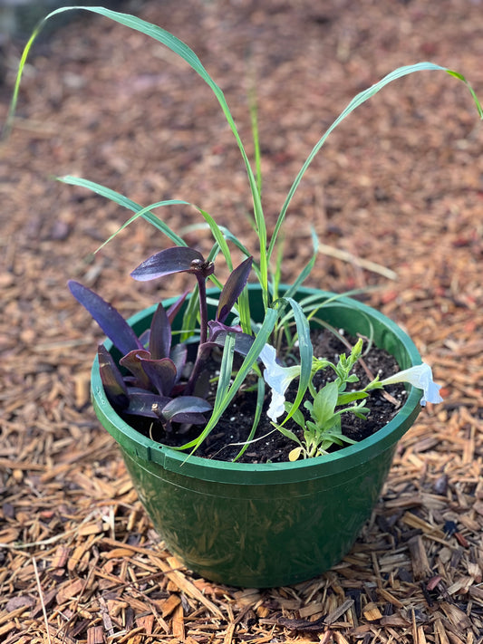 Assorted Planters